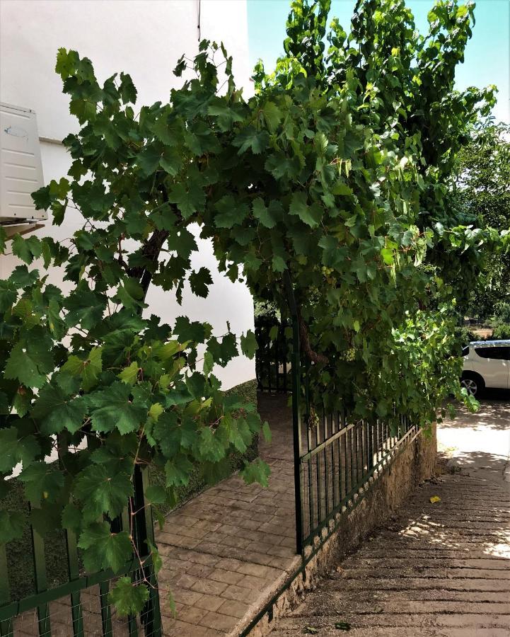 Alojamientos Loma De Mariangela Coto Rios Εξωτερικό φωτογραφία