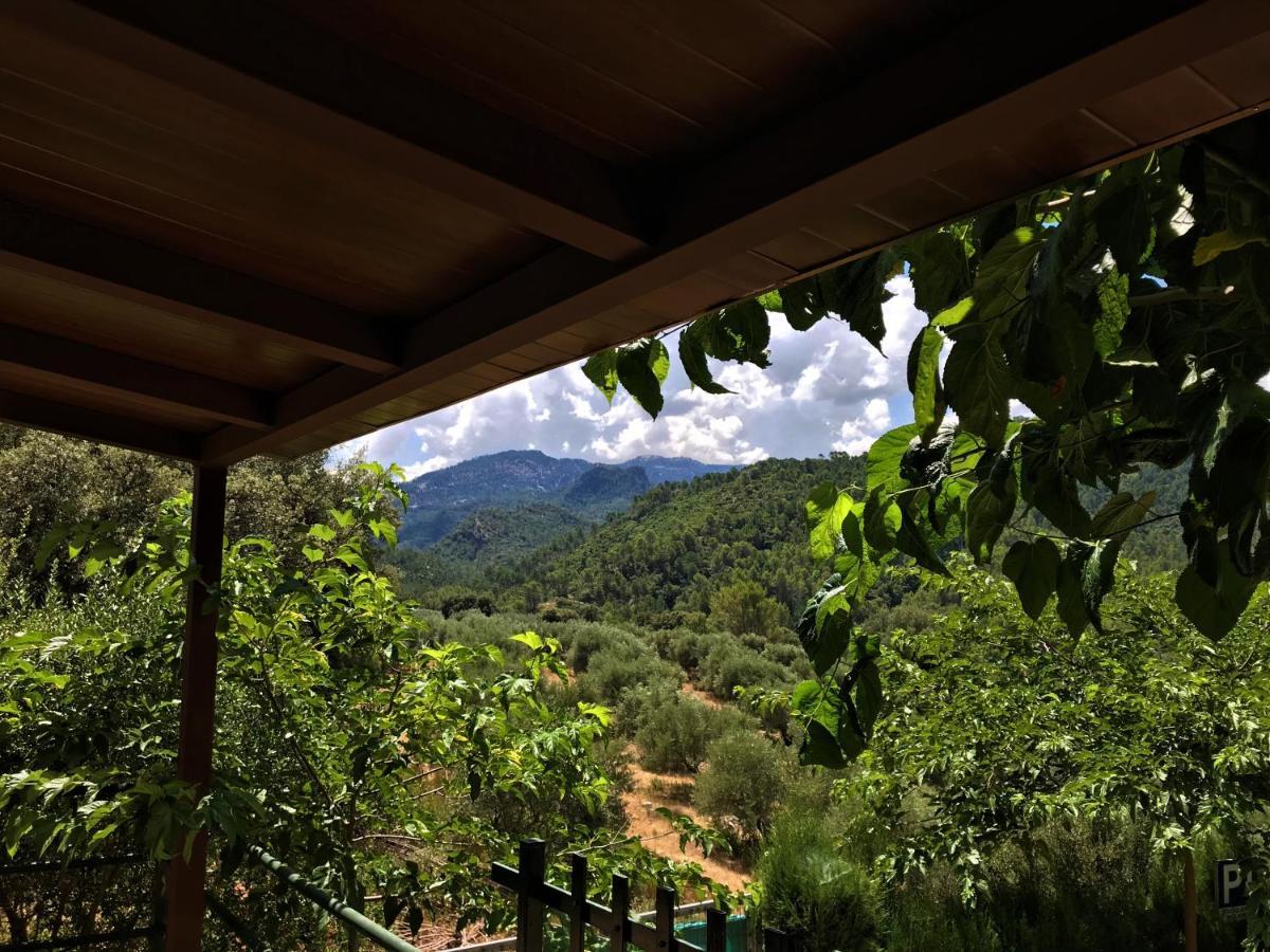 Alojamientos Loma De Mariangela Coto Rios Εξωτερικό φωτογραφία